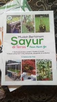 Mudah Bertanam Sayur di Teras