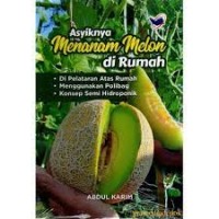 Asyiknya Menanam Melon di Rumah